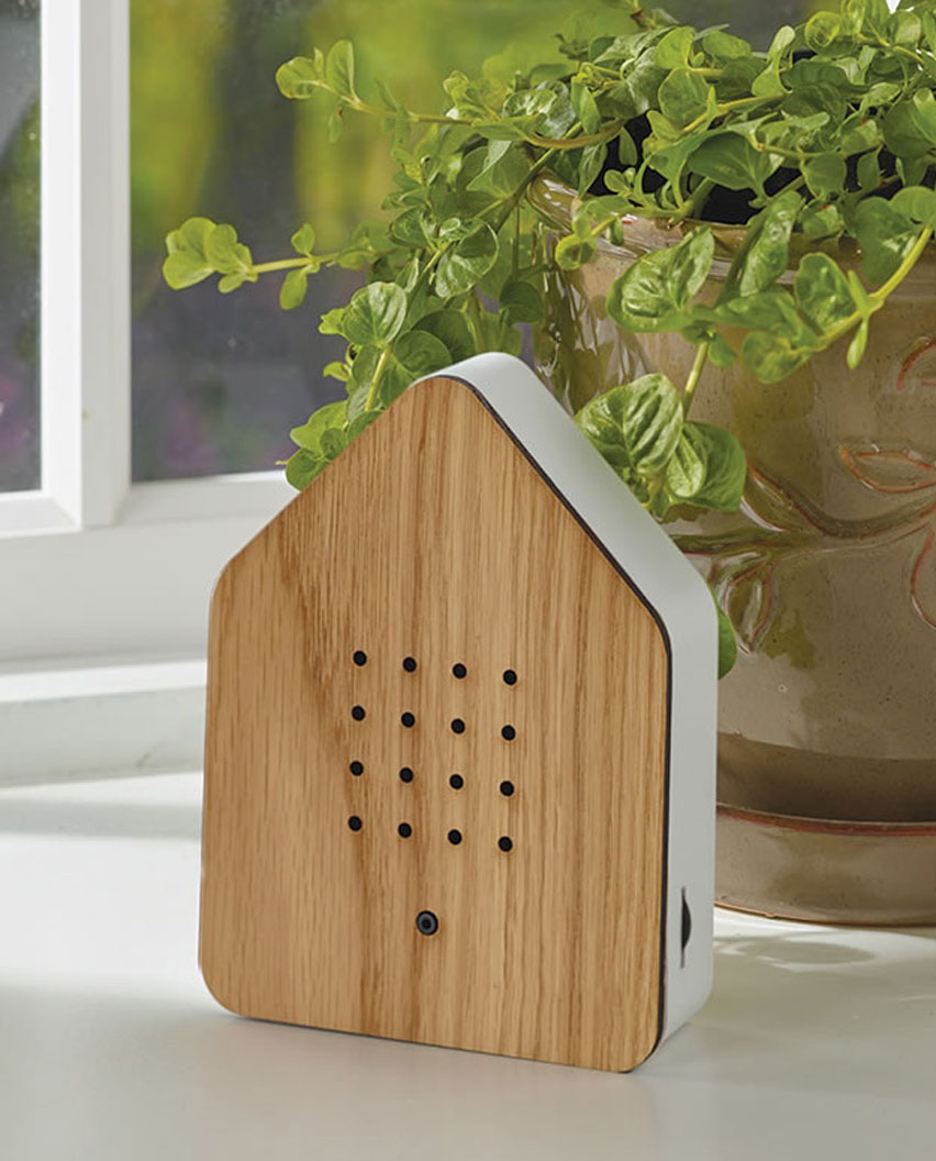 Vogelgeluiden Box | Natuurgeluiden Speaker Voor Ontspanning In Badkamer, Slaapkamer Of Hal